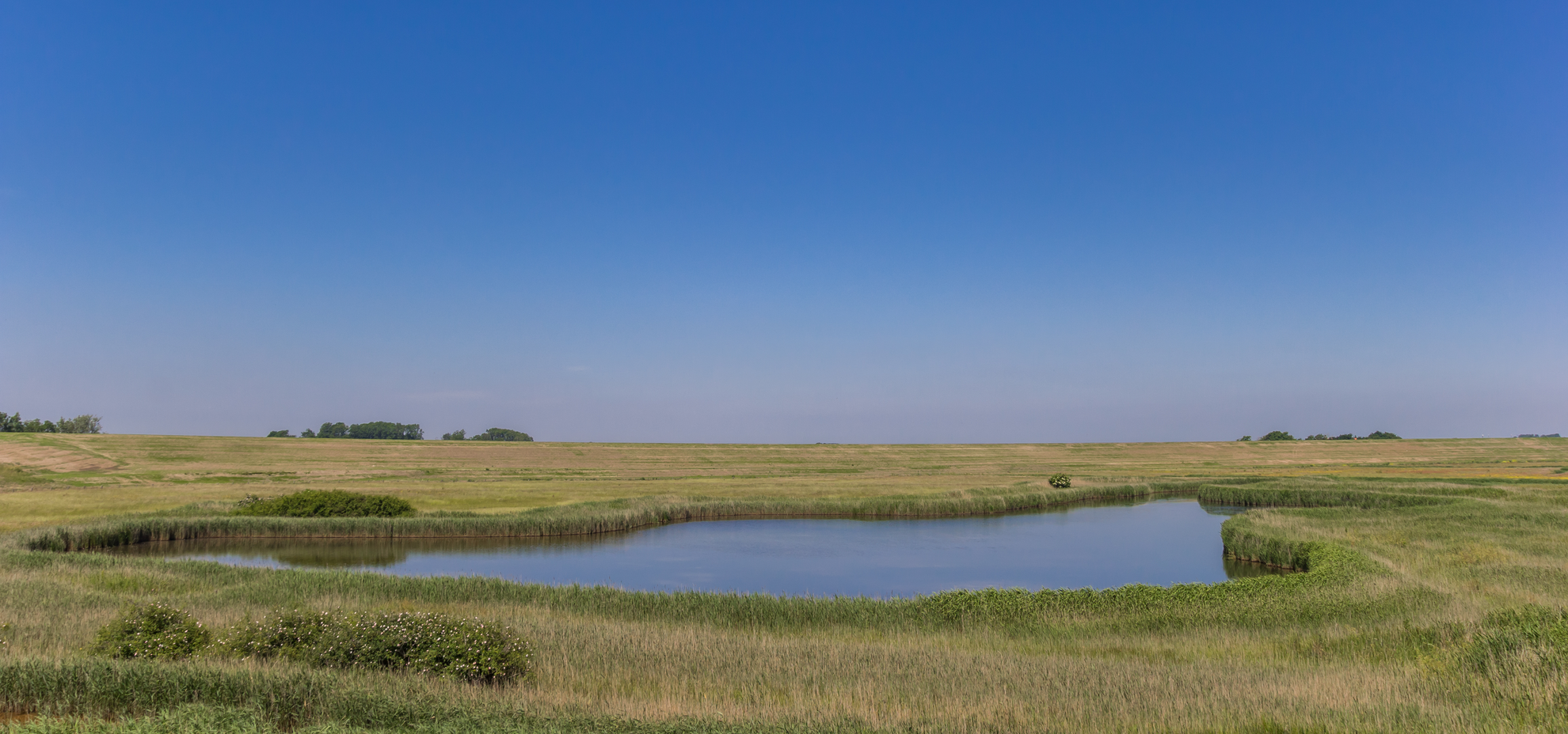 An image depicting the trail Natuurbad and Landgoed t Zelle via Ruurlose Weg and its surrounding area.