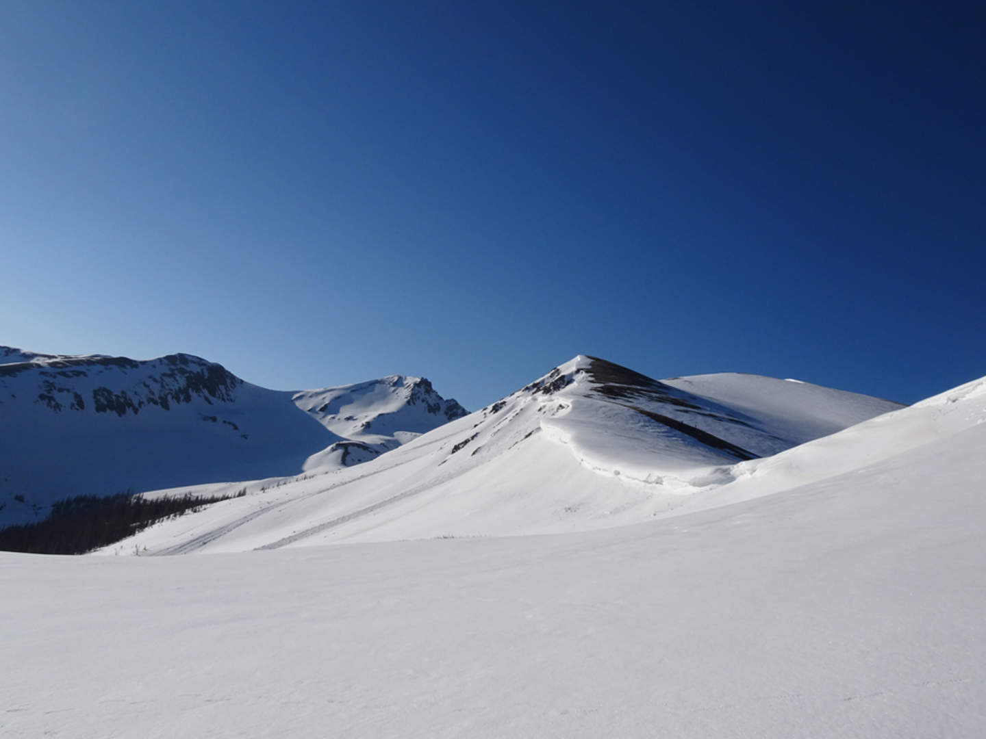 An image depicting the trail Darling Creek Trail and its surrounding area.