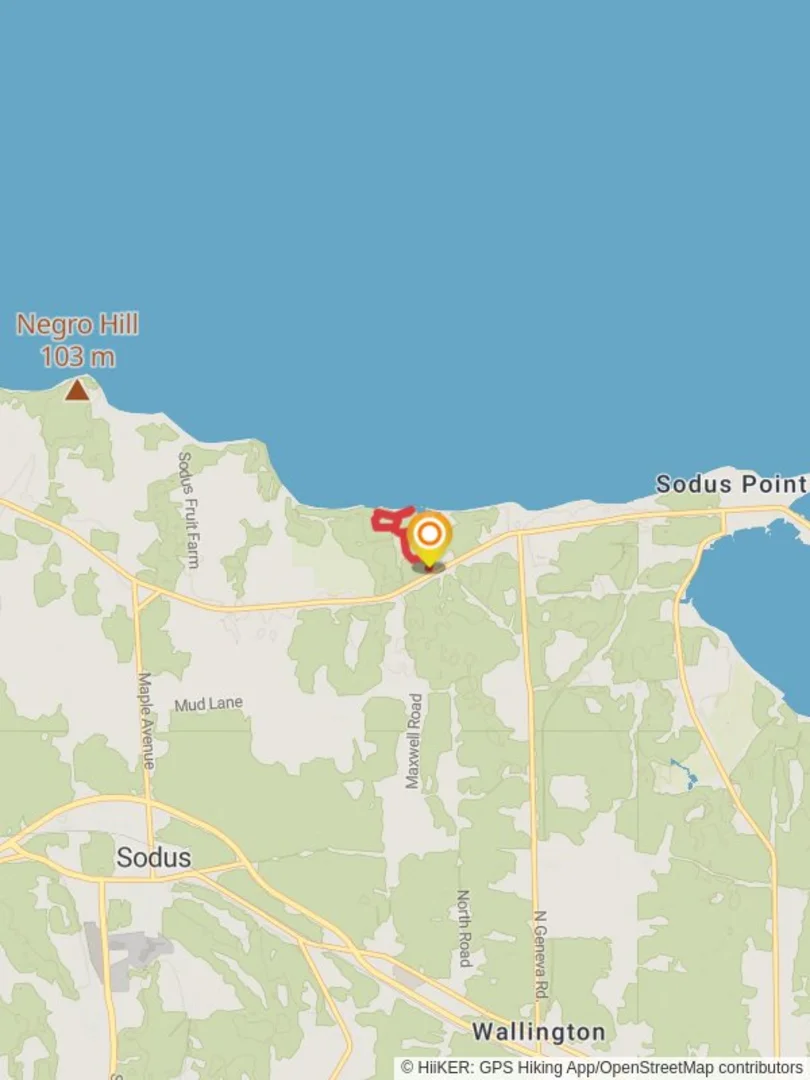 An image depicting the trail Beechwood State Park Loop and its surrounding area.