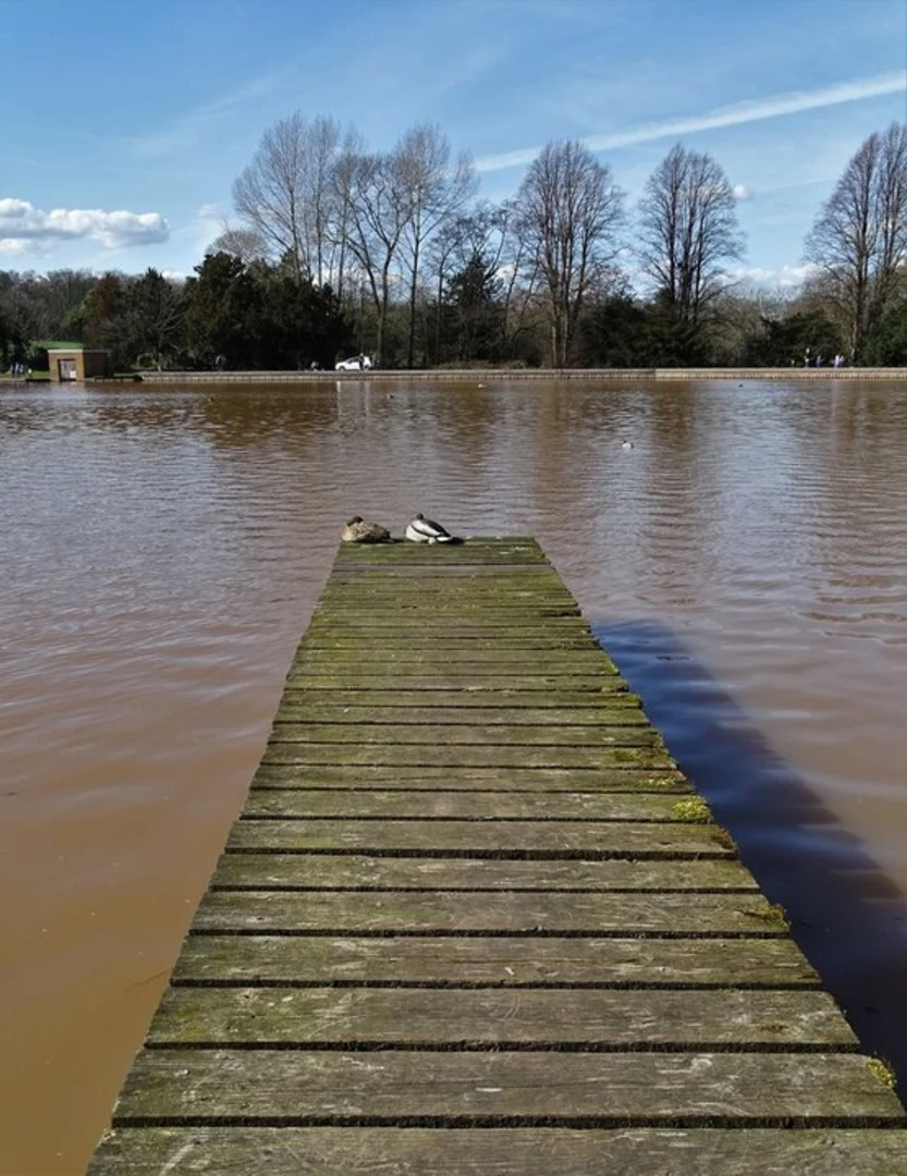 An image depicting the trail Langold Lake Country Park Loop and its surrounding area.