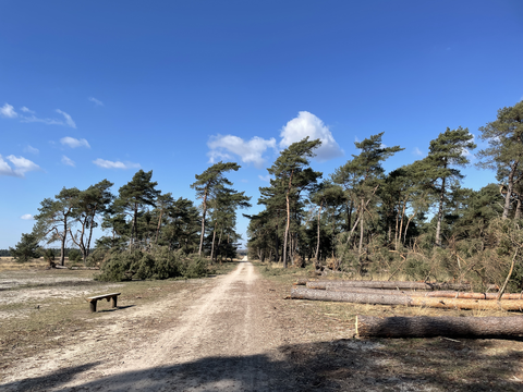 Wolfsheg, Doorngat and Langeberg Loop