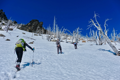 An image depicting the trail Lake Ida - Icicle Trail via Hatchery Creek Trail and its surrounding area.