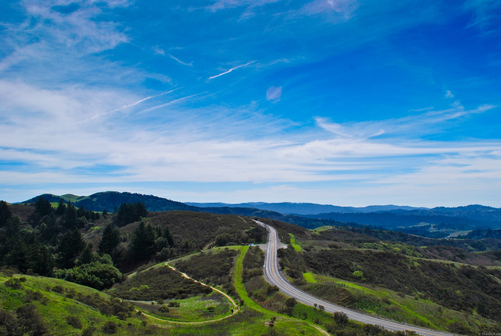 An image depicting the trail Betsy Crowder and Spring Ridge Loop Trail and its surrounding area.