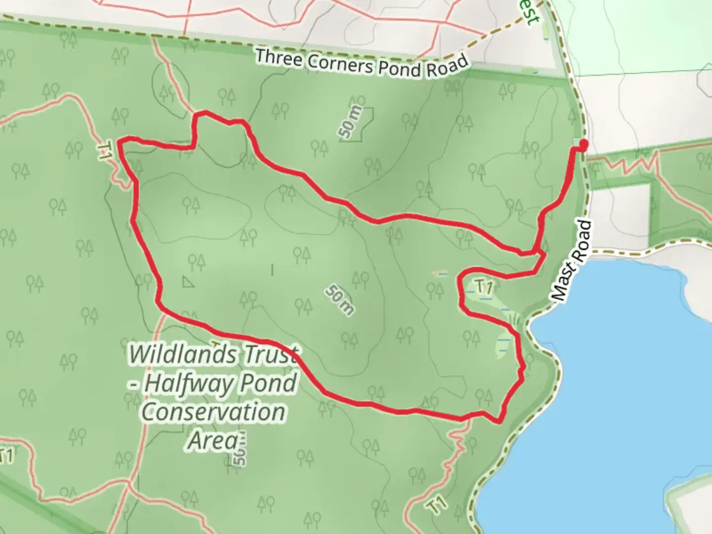 An image depicting the trail Gramp's Loop and its surrounding area.