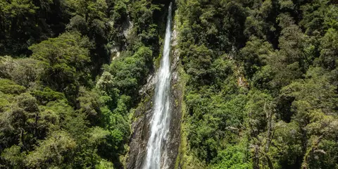 An image depicting the trail Roaring Billy Falls Walk and its surrounding area.