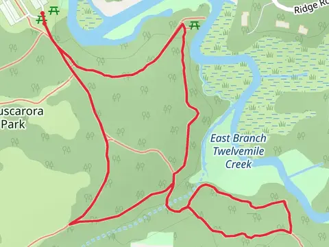 East Branch Twelvemile Creek Loop