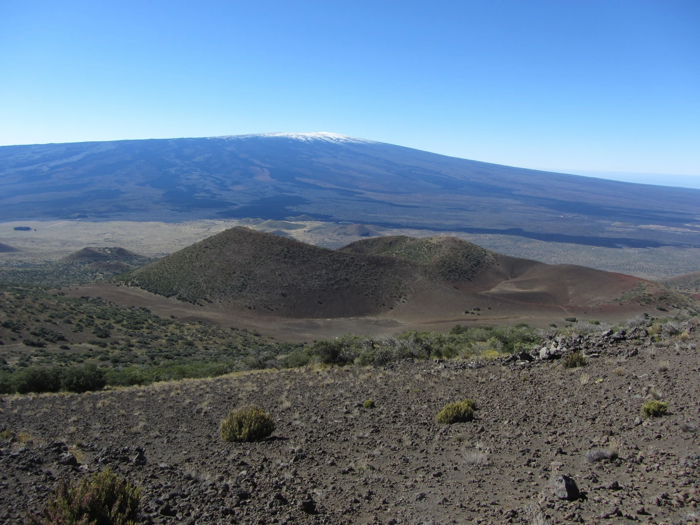 An image depicting the trail Mauna Loa Trail and its surrounding area.