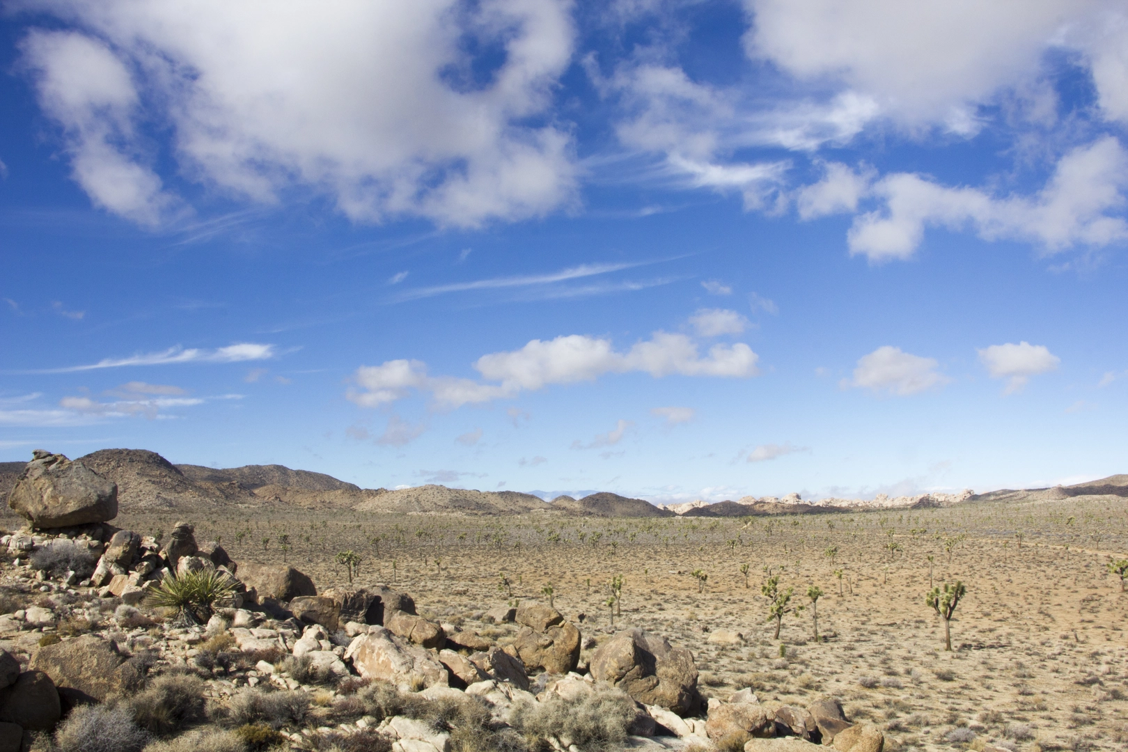 An image depicting the trail Desert Queen Mine Trail and Lucky Boy Vista Loop and its surrounding area.