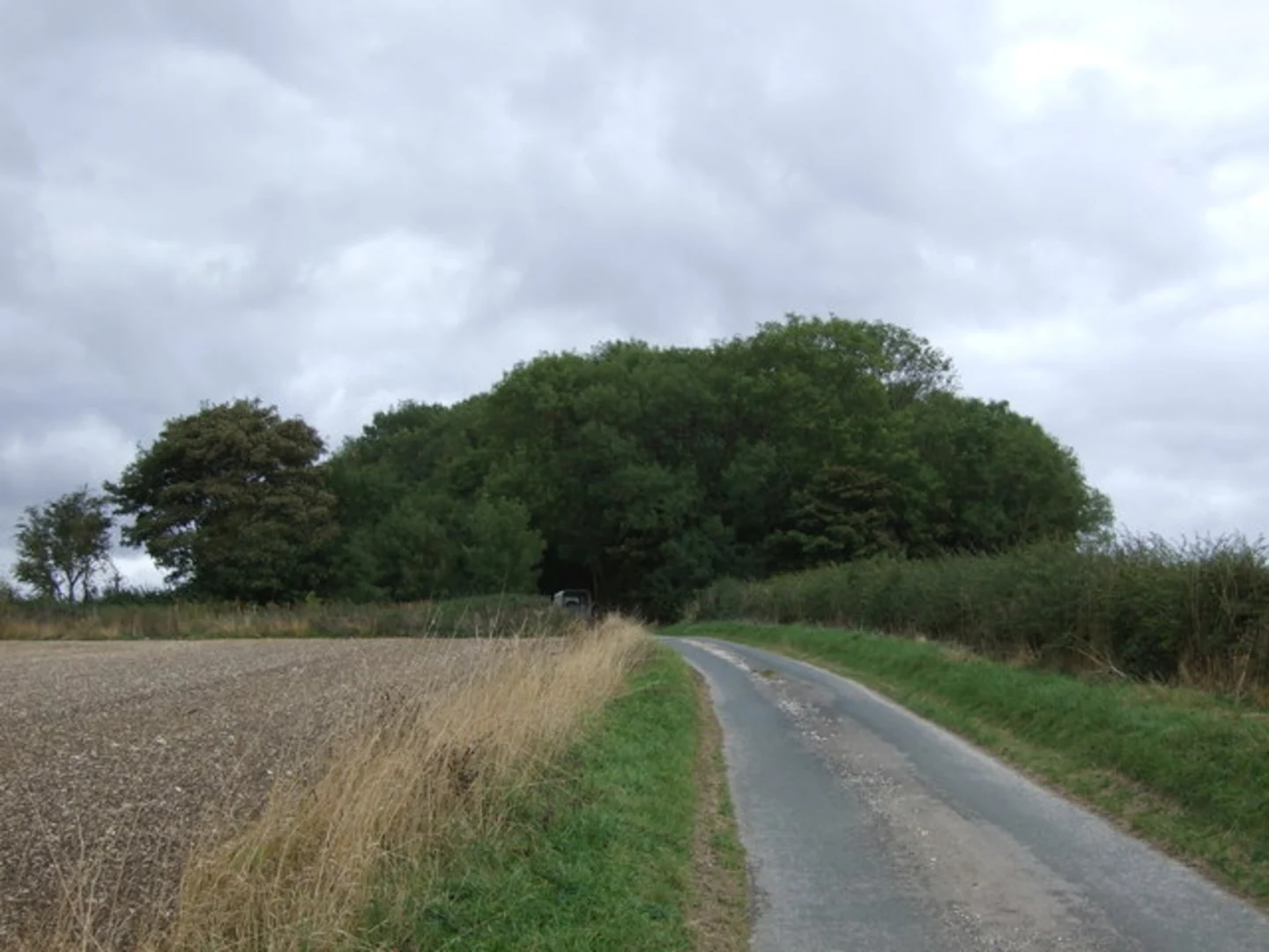 An image depicting the trail Skerningham Plantation Loop and its surrounding area.