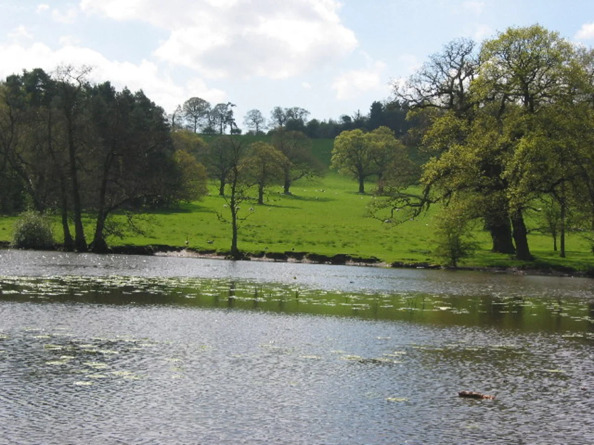 Harewood Circular Walk