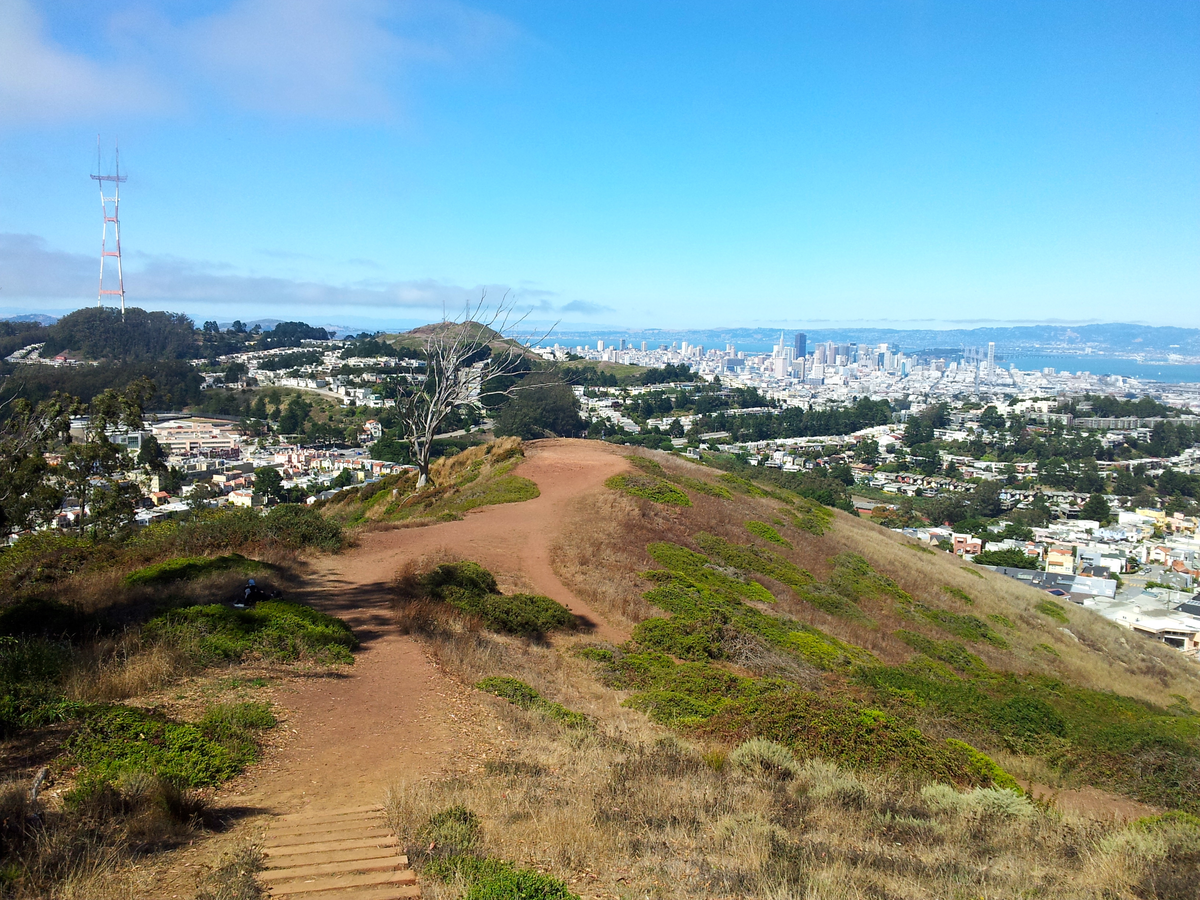 Mount Sutro via Historic Loop Trail