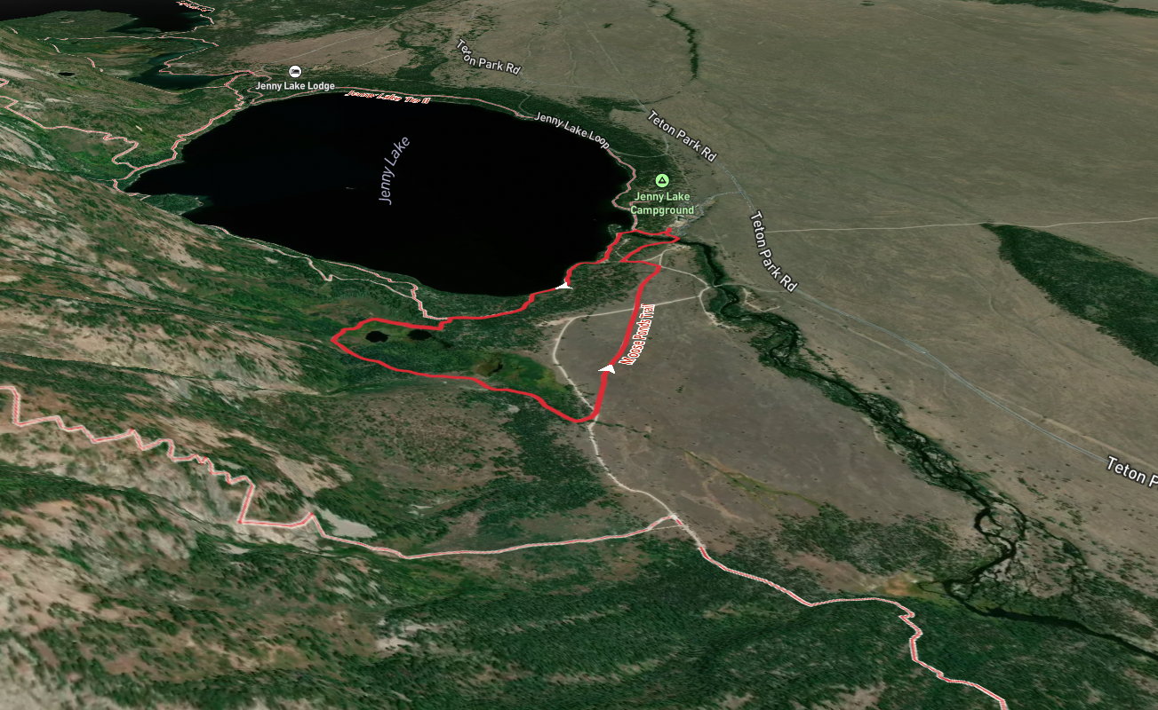 Moose Pond Trail and Jenny Lake Loop Trail