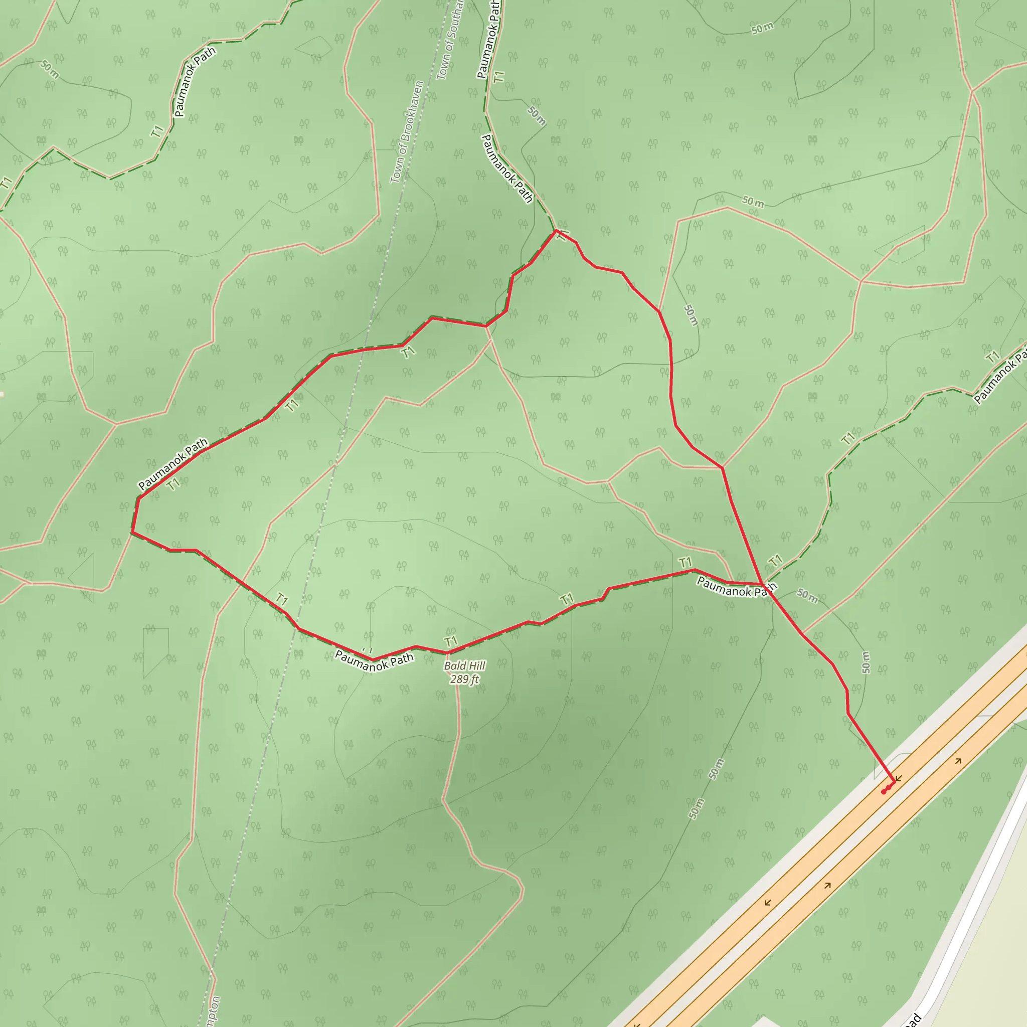 Bald Hill via Paumanok Path mobile static map