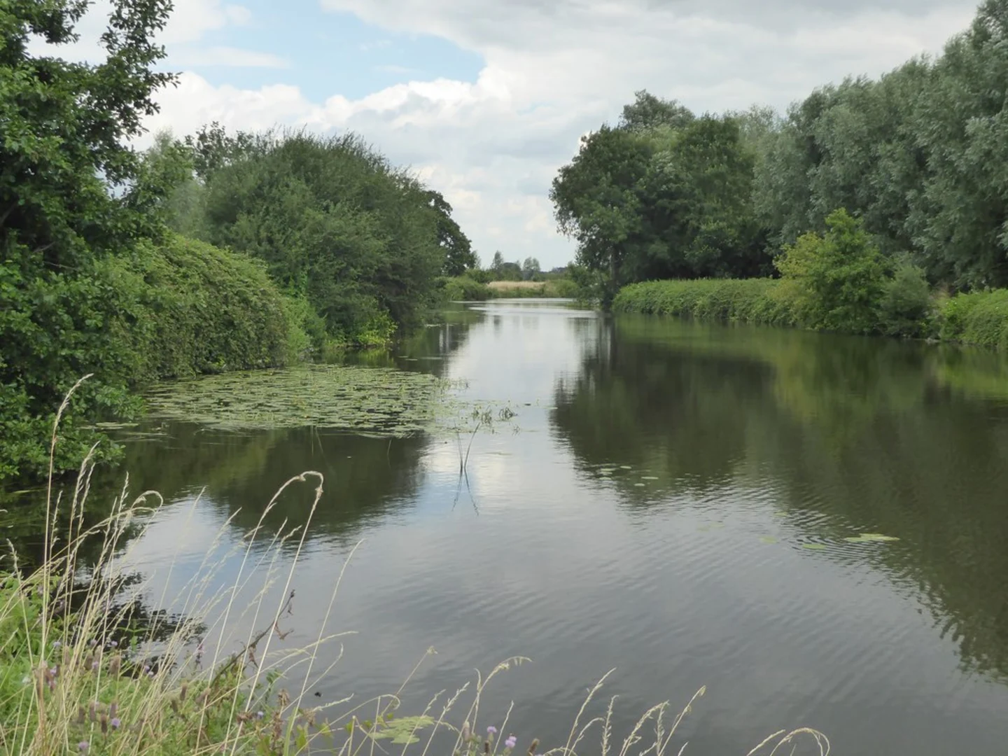 An image depicting the trail Tudeley Hale Loop Walk and its surrounding area.