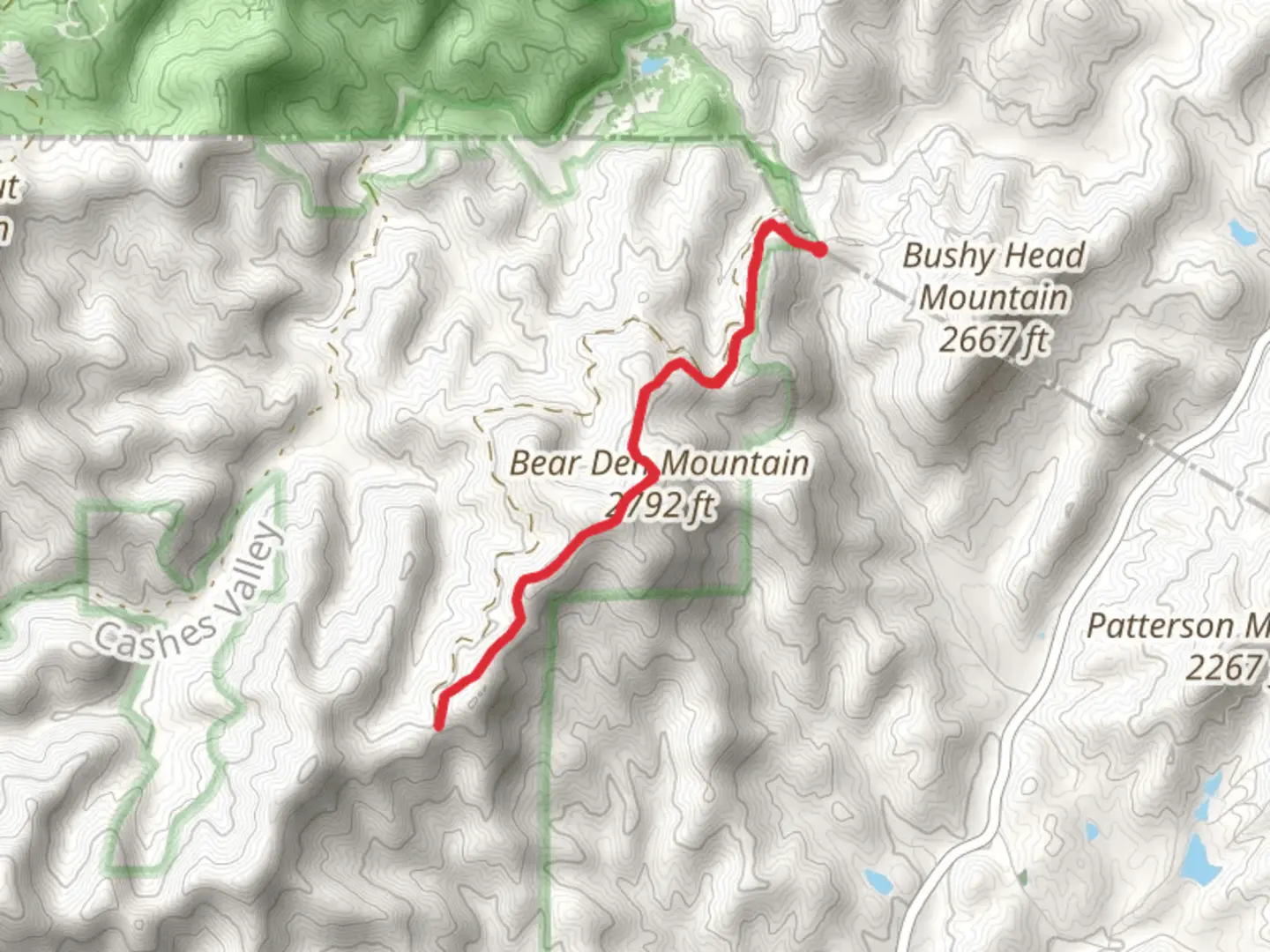 An image depicting the trail Benton MacKaye Trail and its surrounding area.