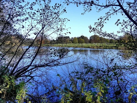 An image depicting the trail Bramhall Circular Walk and its surrounding area.
