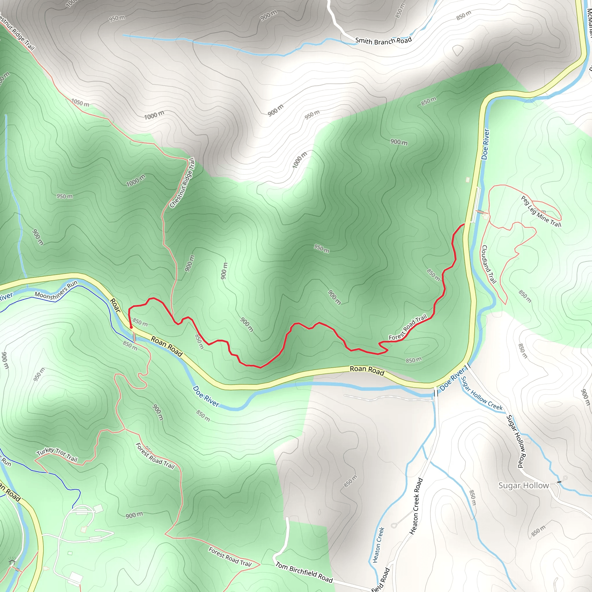 Forest Road Trail North - Roan Road mobile static map