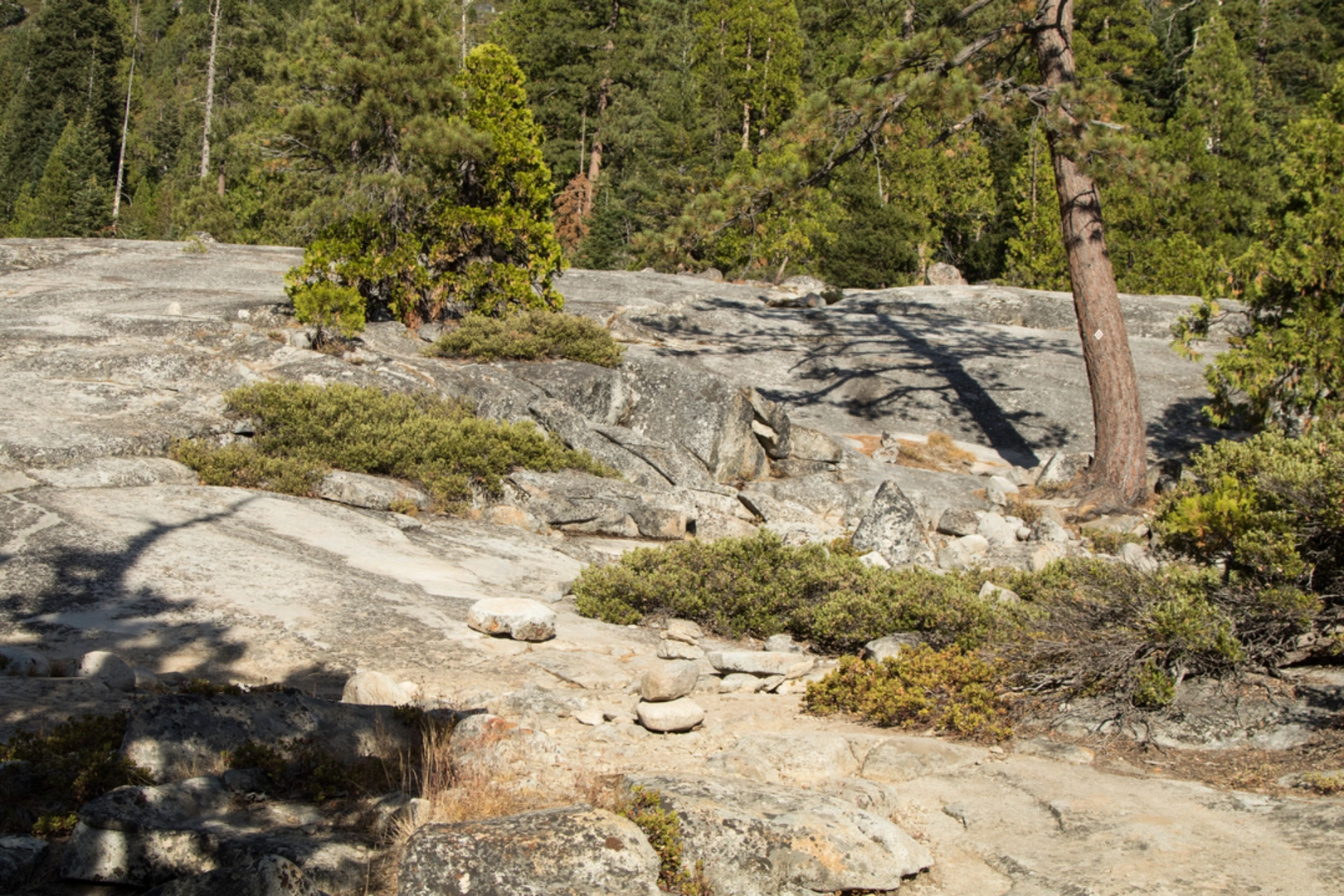 An image depicting the trail Pyramid Creek Loop Trail and its surrounding area.