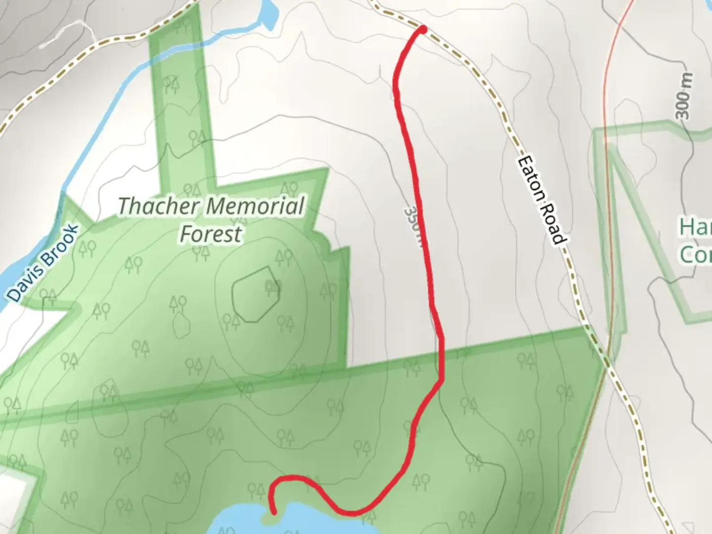 An image depicting the trail Thacher Park Lake Trail and its surrounding area.