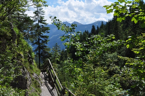 An image depicting the trail Silberkarklamm Wild Waters Trail and its surrounding area.