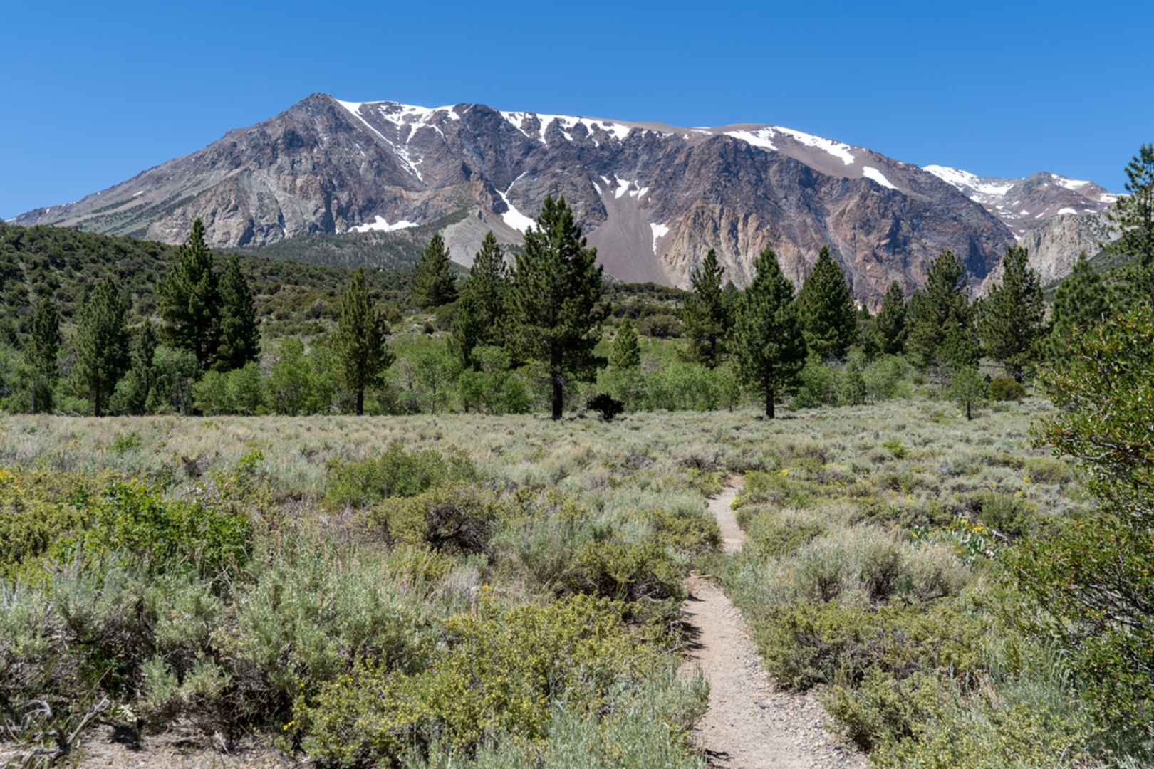 An image depicting the trail Parker Lake Trail and its surrounding area.