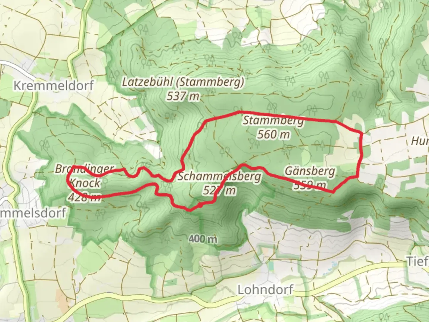 An image depicting the trail Grosse Stammbergtour Loop and its surrounding area.