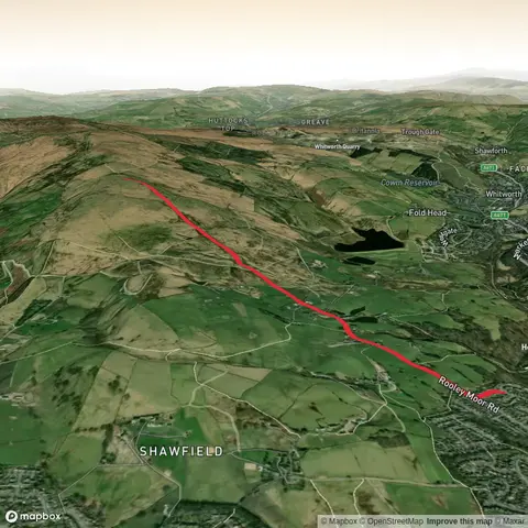 Top of Pike Out and Back