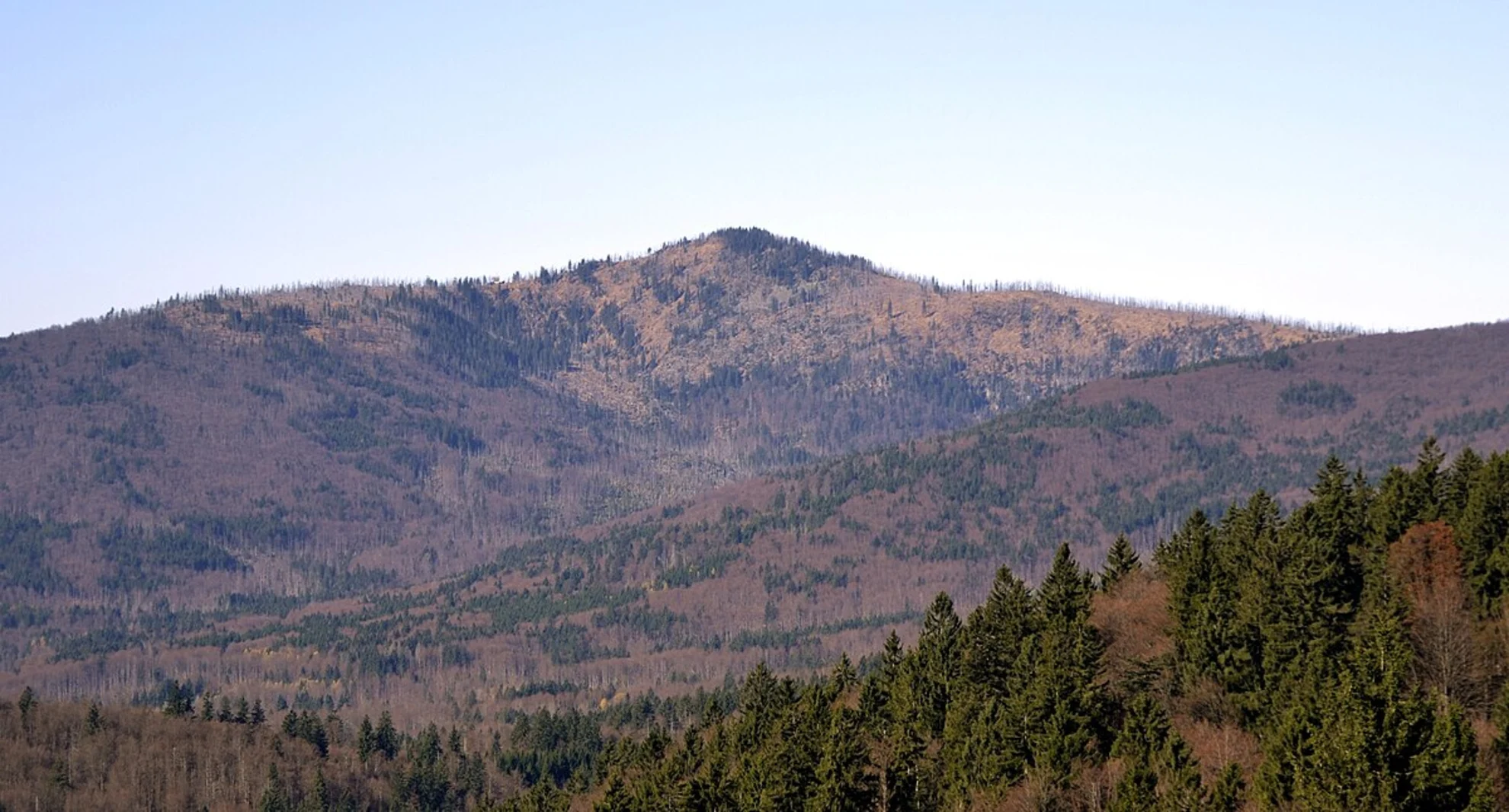 An image depicting the trail Auerhahn Loop via Großer Rachel and Rachelsee and its surrounding area.