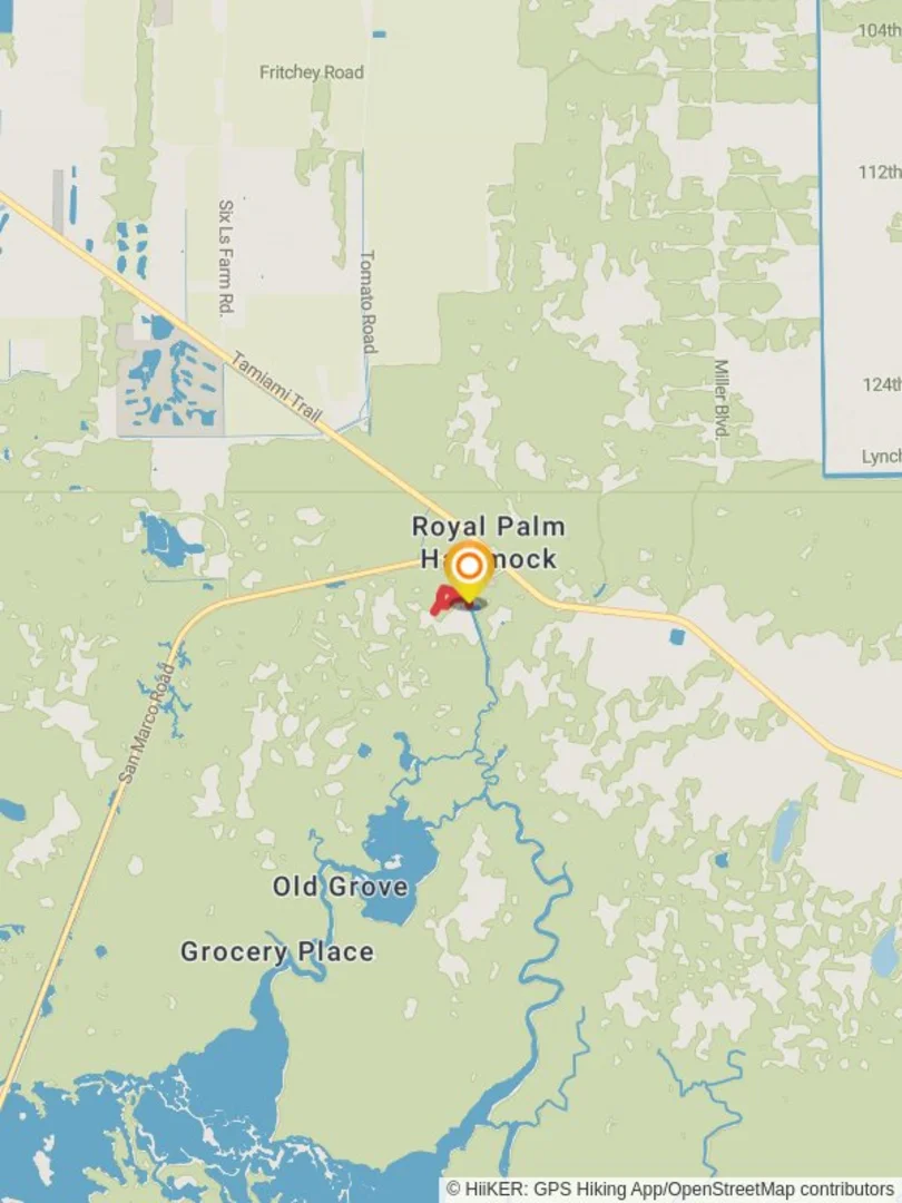 An image depicting the trail Royal Palm Hammock Loop Trail and its surrounding area.