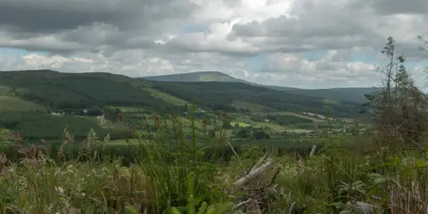 An image depicting the trail Murroe - Glenstal Woods Loop and its surrounding area.