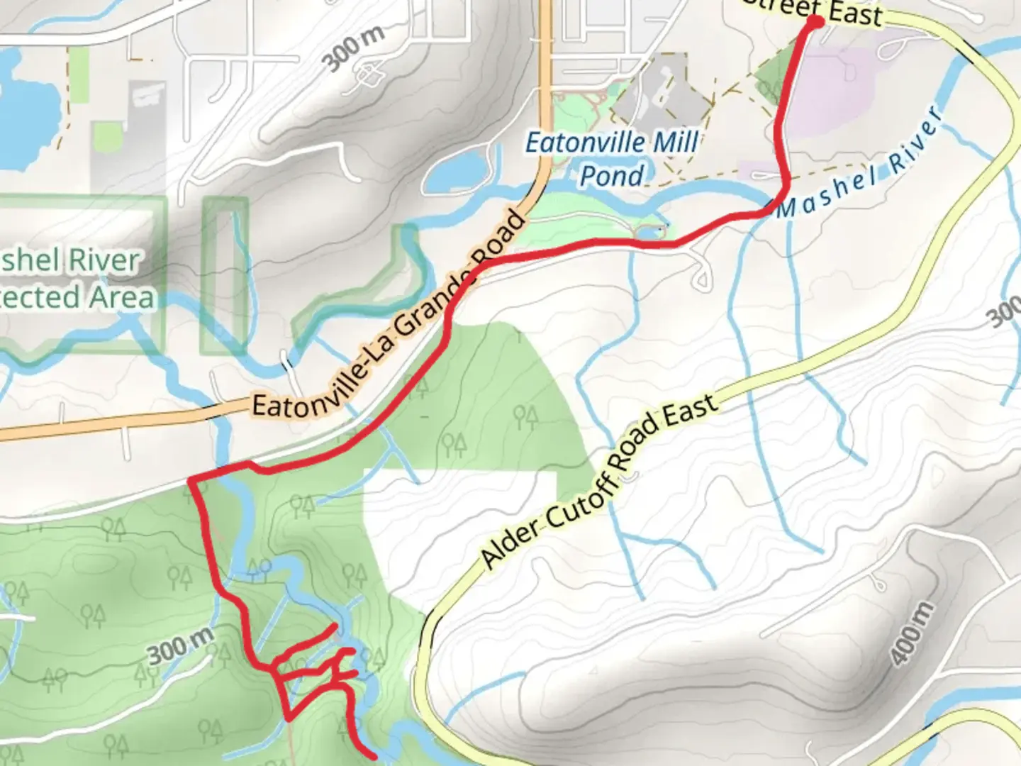 An image depicting the trail Bud Blancher Trail and Little Mashel River and Falls and its surrounding area.