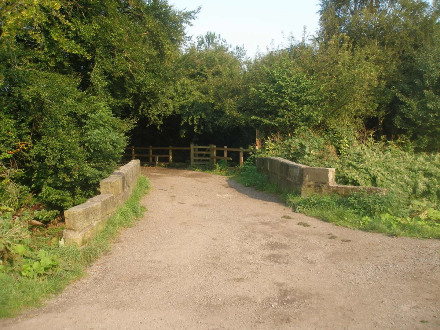 An image depicting the trail Alkrington Wood Loop and its surrounding area.