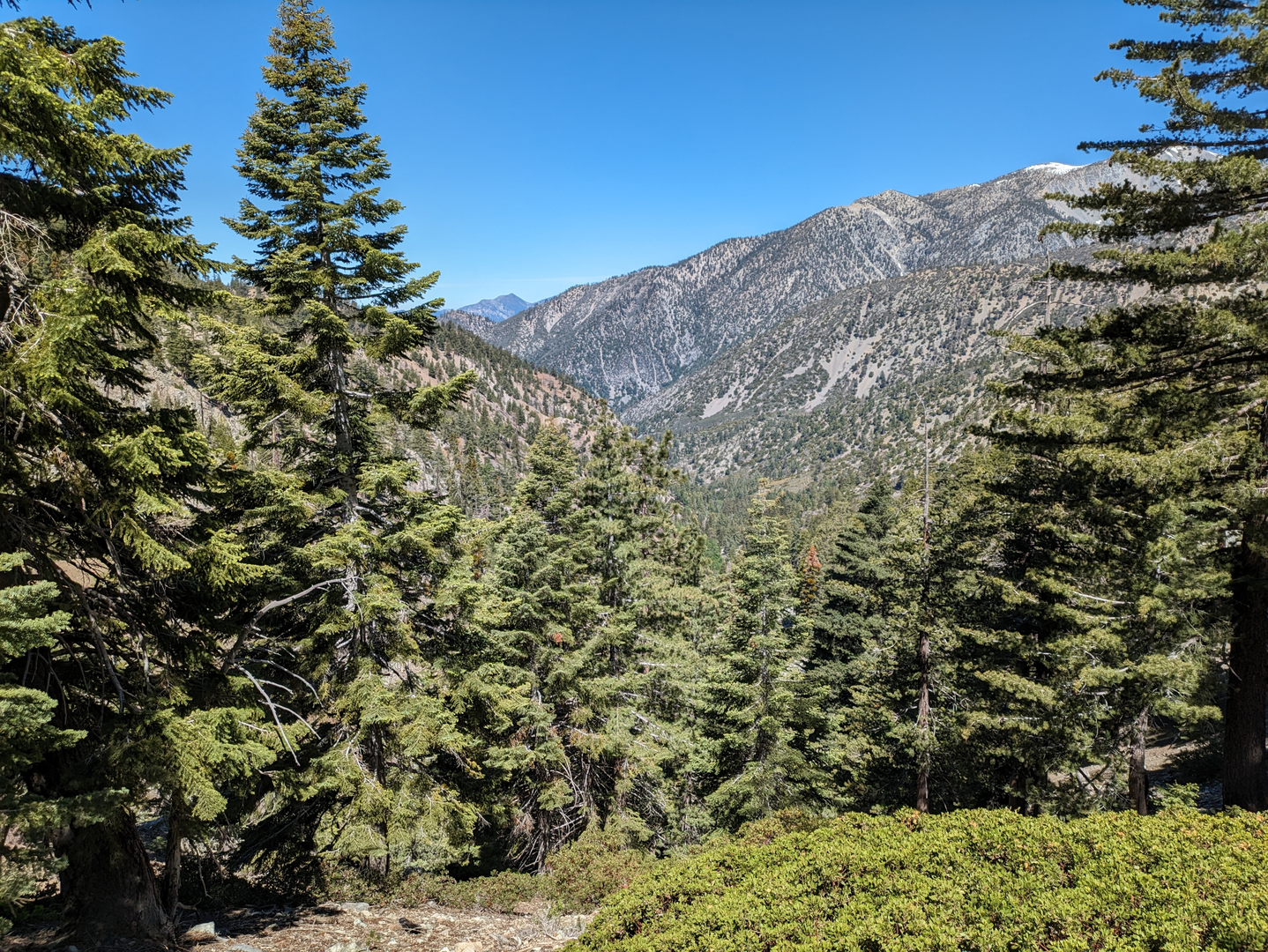 An image depicting the trail Kelly Camp via Icehouse Canyon Trail and its surrounding area.