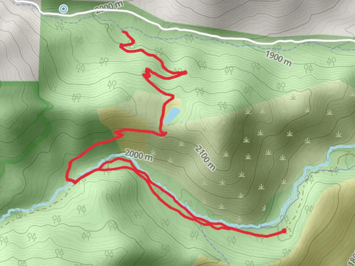 An image depicting the trail Upper Whites Creek and Dry Pond Trail and its surrounding area.