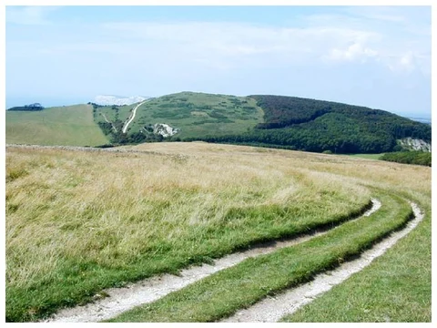 An image depicting the trail Mottistone Down and The Longstone via Tennyson Trail and its surrounding area.