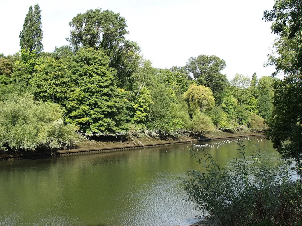 Putney Heath to Kew Bridge Walk
