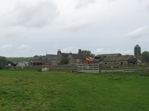 Basset Green and Basset Wood Walk