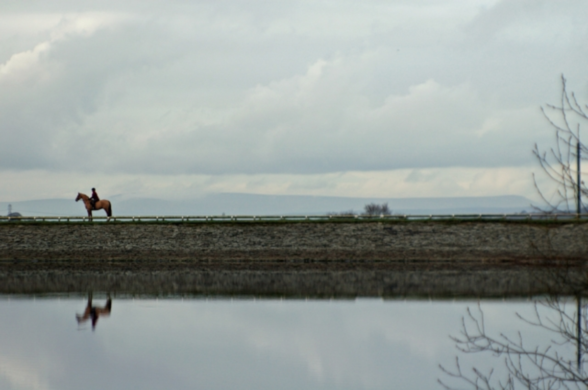 Rake Brook Reservoir, Lower Roddlesworth Reservoir and Upper Roddlesworth Reservoir Loop