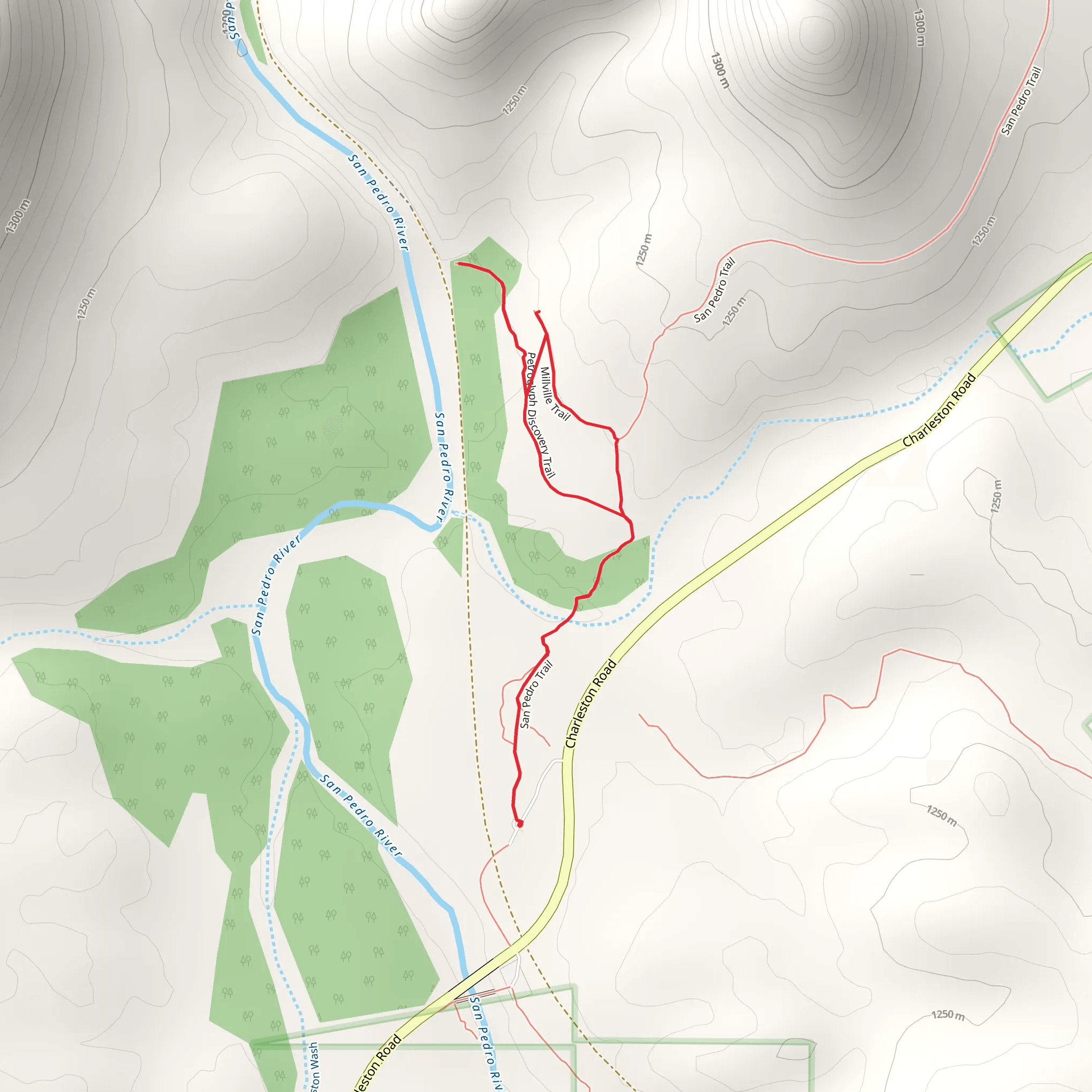Petroglyph Discovery Loop via San Pedro Trail mobile static map