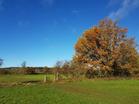 Moreton-in-Marsh and Batsford