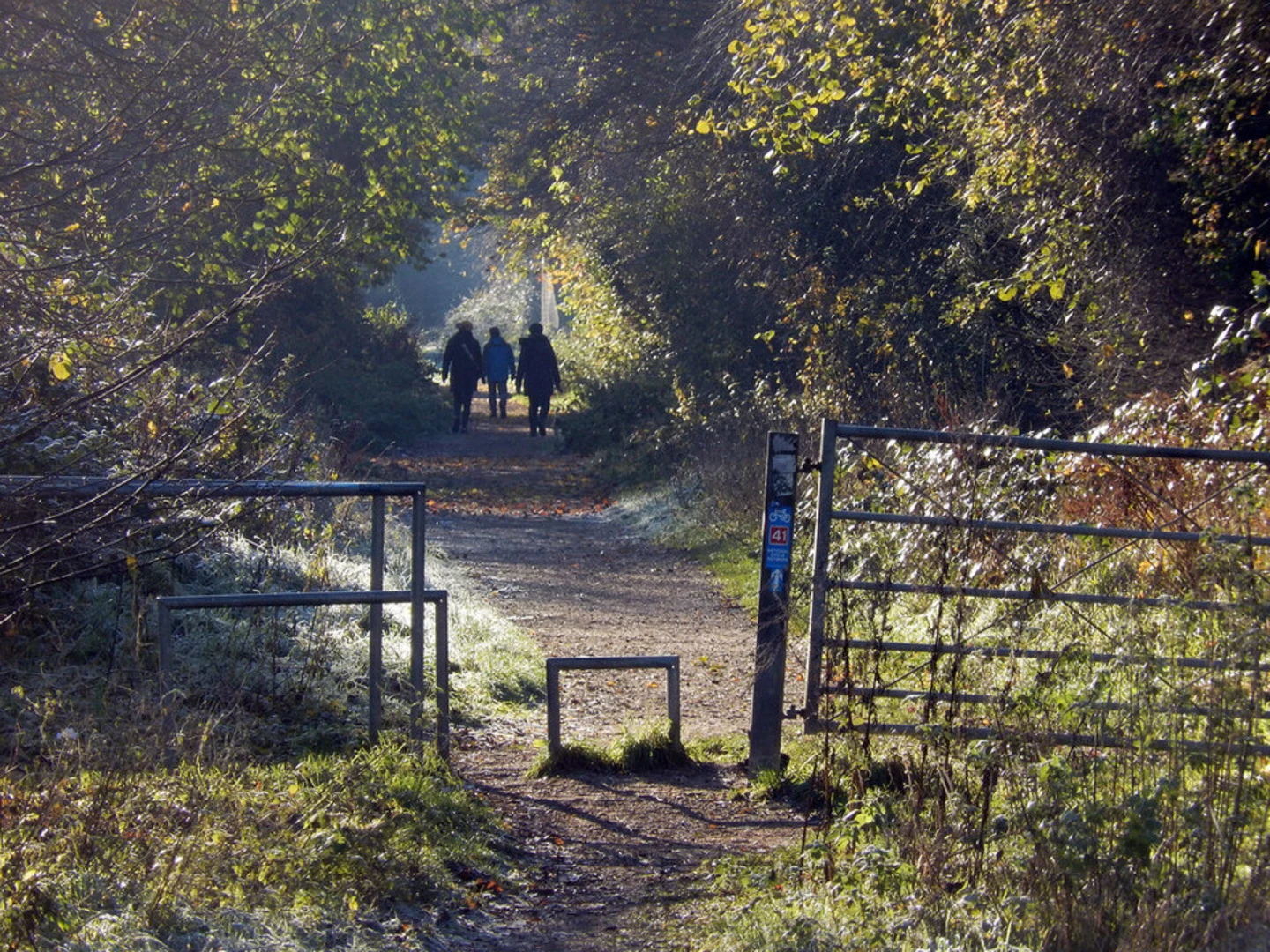 An image depicting the trail Grand Central Walk and its surrounding area.