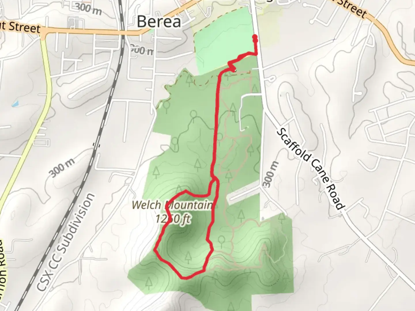 An image depicting the trail Welch Mountain in Berea College Forest LoopLoop and its surrounding area.