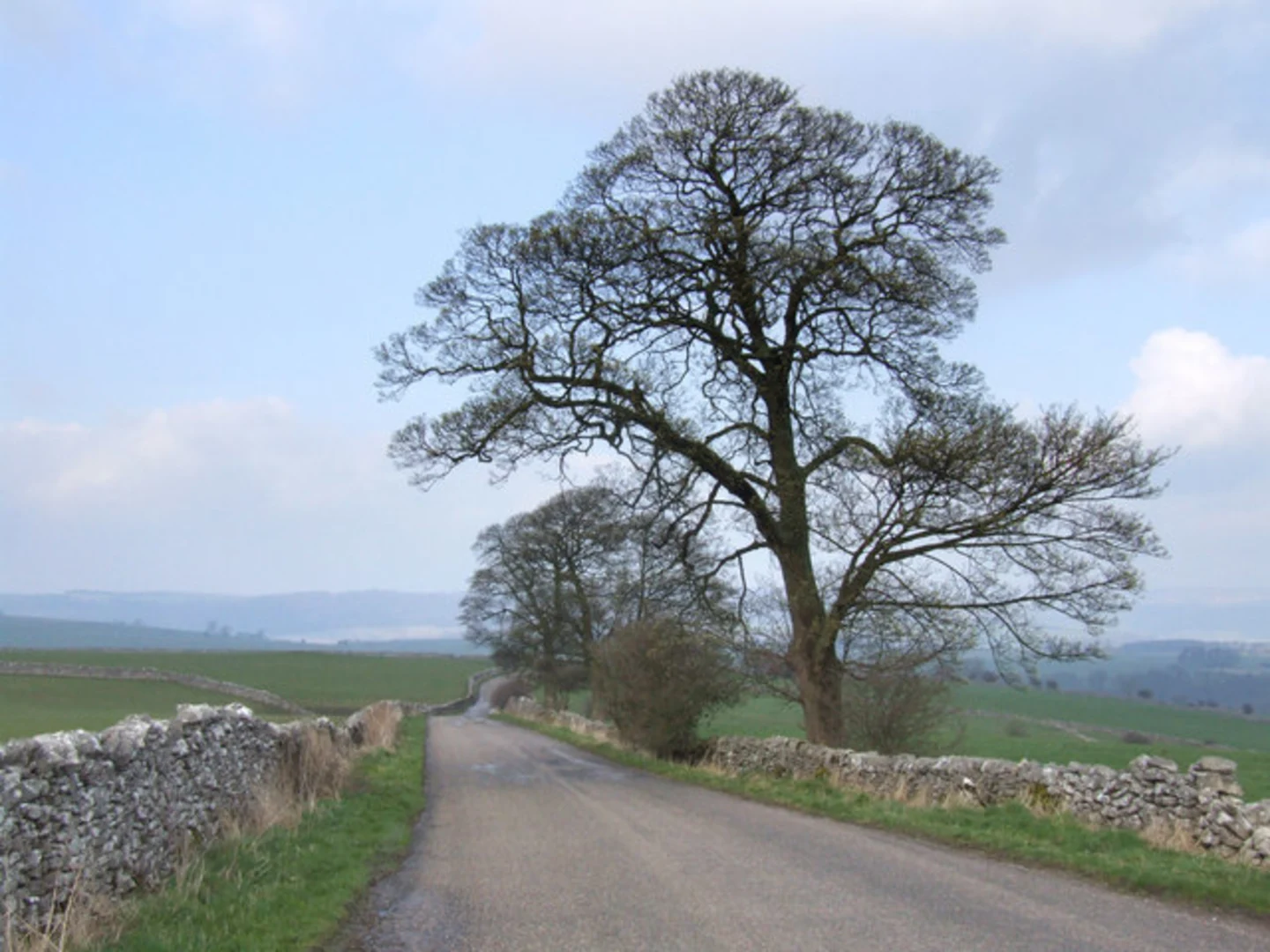 An image depicting the trail Meadow Place Wood Loop from Alport and its surrounding area.