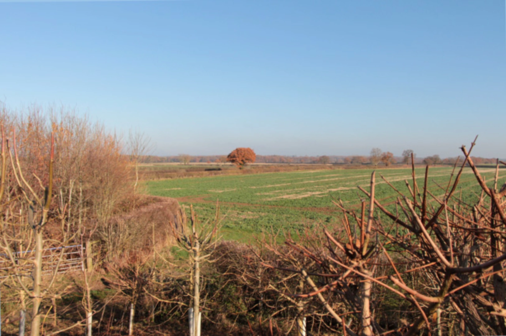 An image depicting the trail Bosworth Battlefield Walk and its surrounding area.