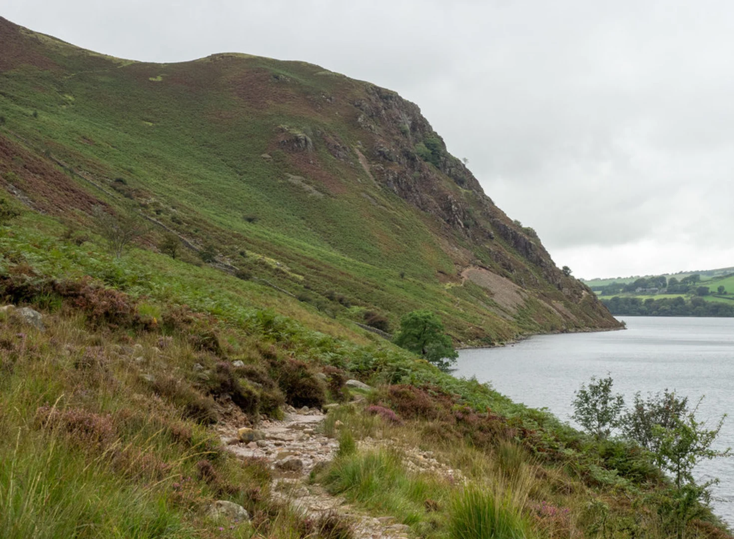 An image depicting the trail Crag Fell, Heycock and Ennerdale Water Loop via Coast to Coast Walk and its surrounding area.