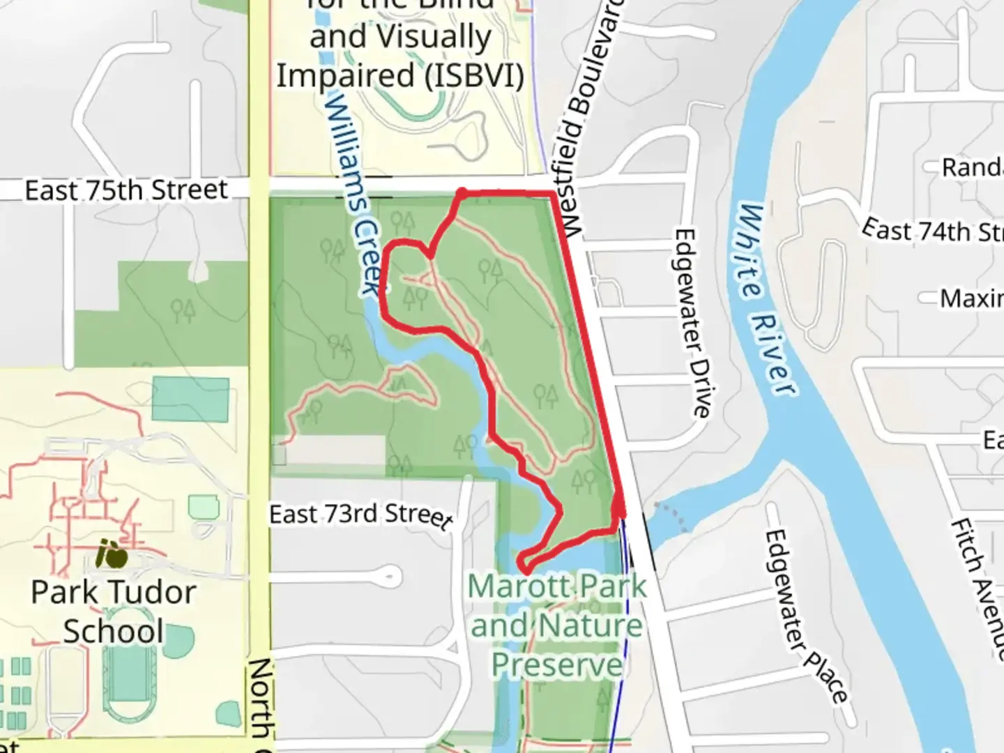 An image depicting the trail Williams Creek Loop and its surrounding area.