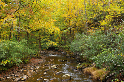 An image depicting the trail Leatherwood Loop Trail and its surrounding area.
