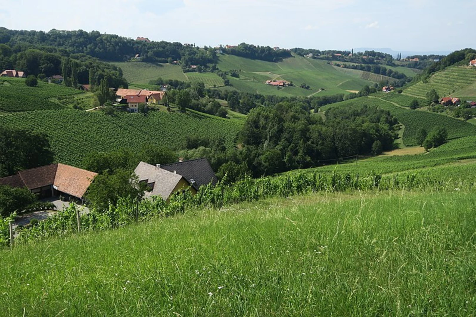 An image depicting the trail Zoag ma wos Steig - Aflenz and its surrounding area.