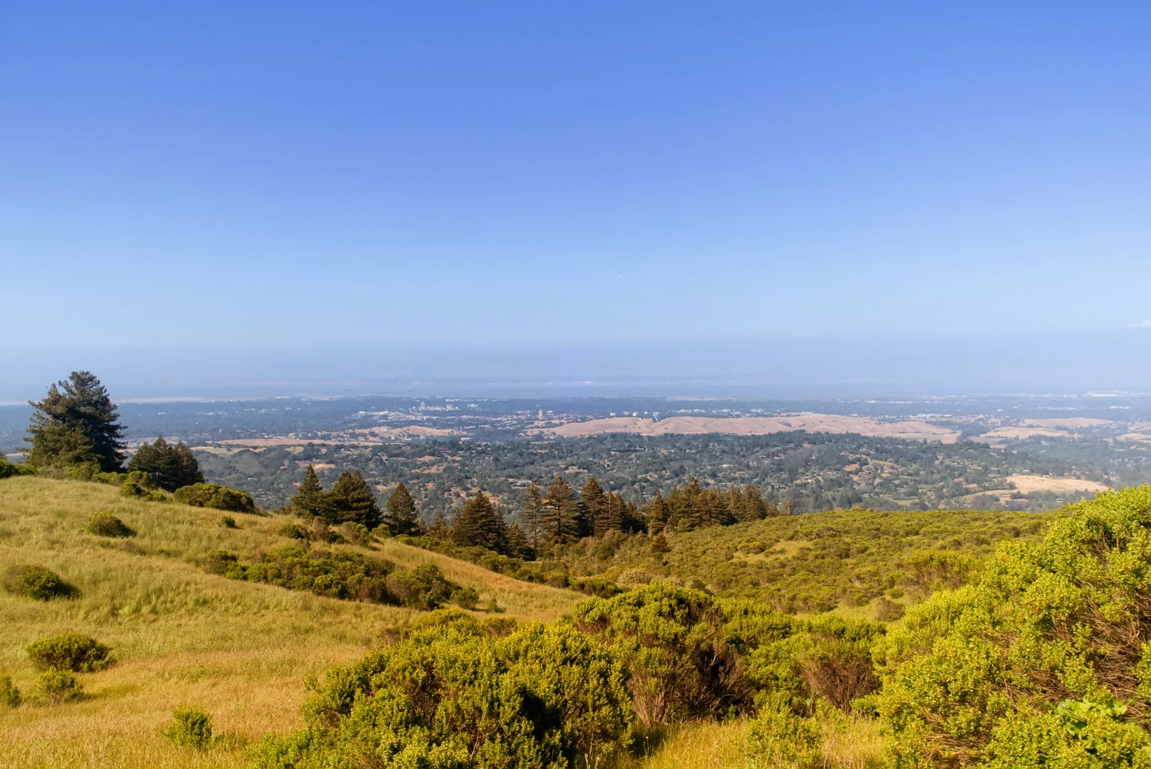 An image depicting the trail Toyon Loop Trail and its surrounding area.