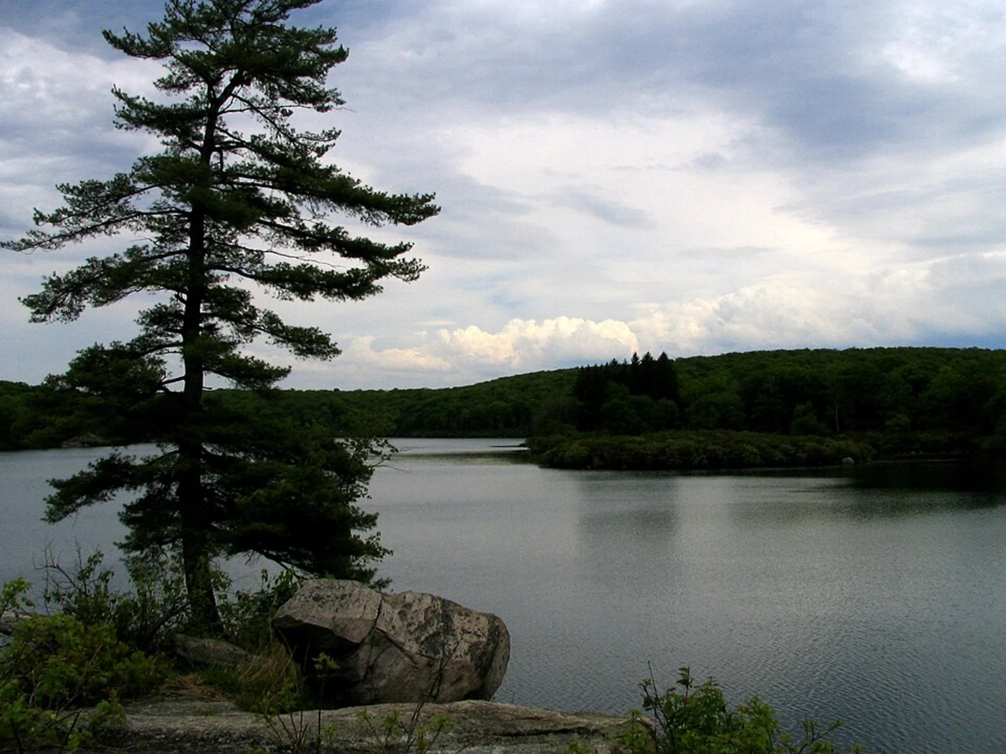 An image depicting the trail Pine Meadow Lake and Stony Brook via Pine Meadow Trail and its surrounding area.